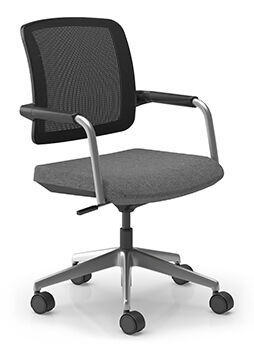 Meeting and Conference Chairs